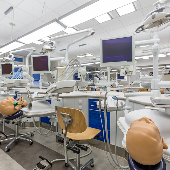 Dental treatment area with dummies for students to work on