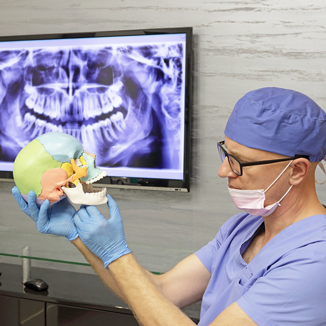 Dentist holding multi-colored model of human skull